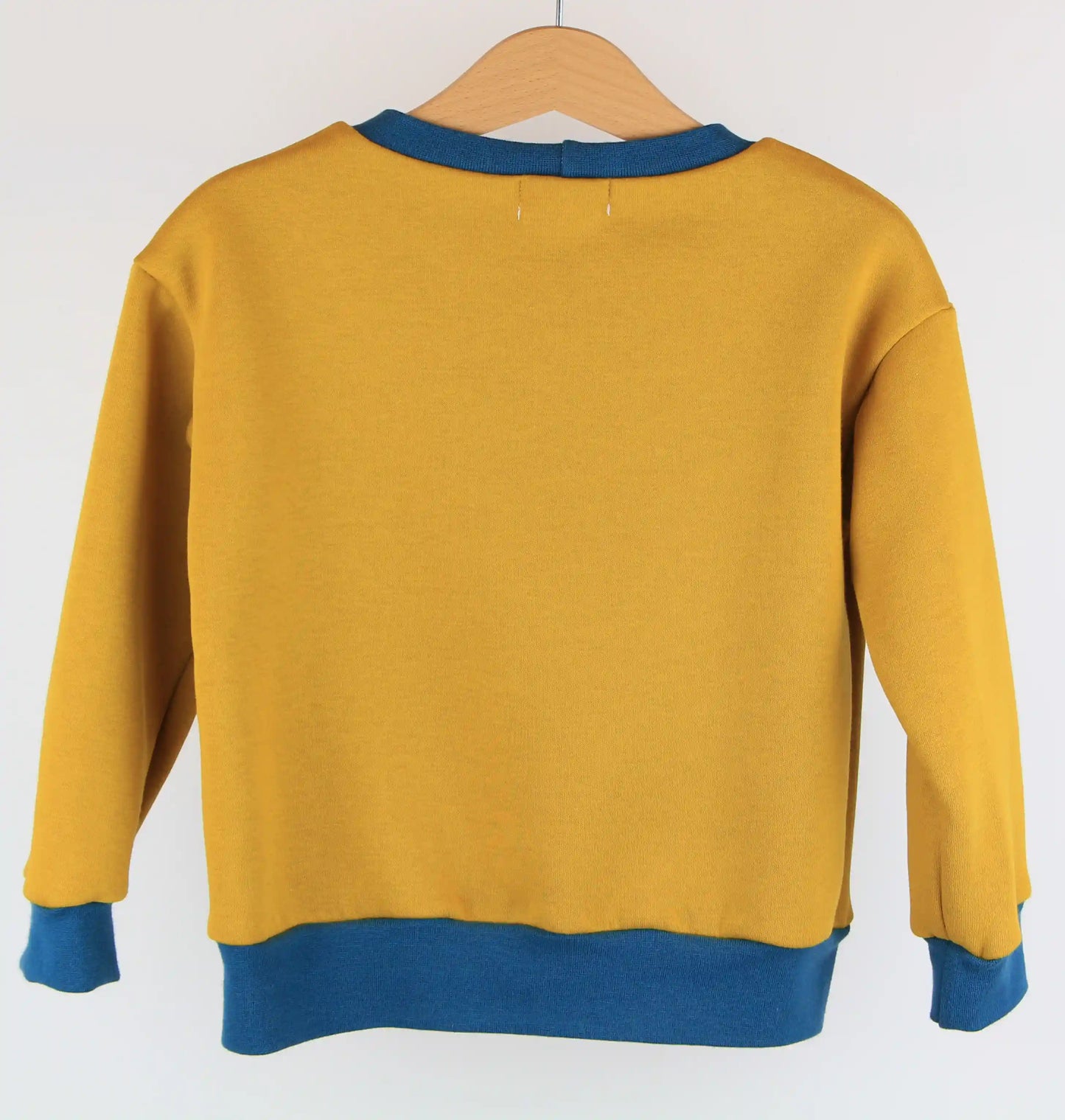 Felpa - Into the universe